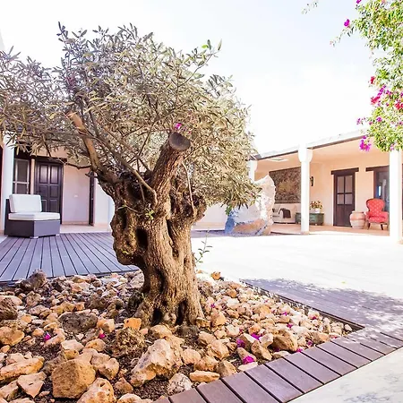 Maison d'hôtes Olimpia La Oliva